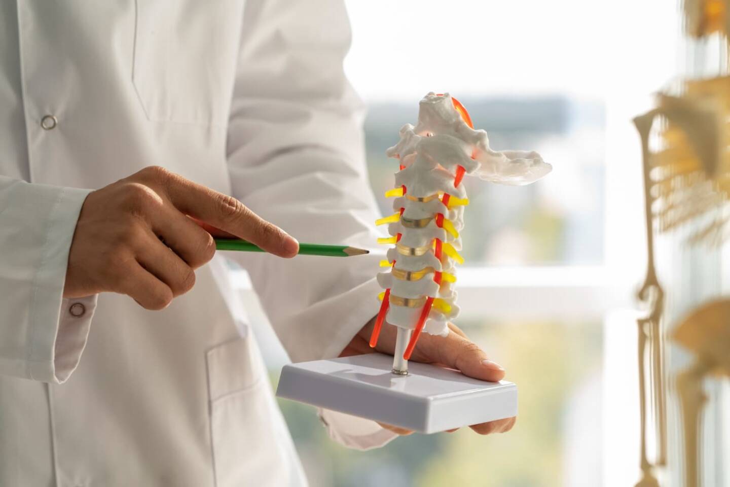 Osteofity kręgosłupa